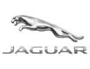 jaguar.jpg